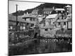 Photographic Print