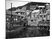 Photographic Print