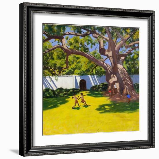 Ancient Campor Tree, Vergelegen Estate, South Africa-Andrew Macara-Framed Giclee Print