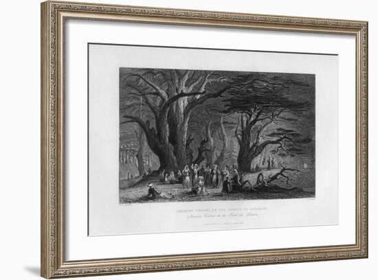 Ancient Cedars in the Forest of Lebanon, 1841-J Redaway-Framed Giclee Print