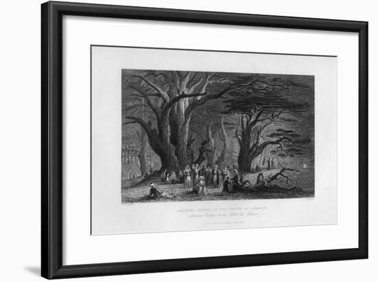 Ancient Cedars in the Forest of Lebanon, 1841-J Redaway-Framed Giclee Print
