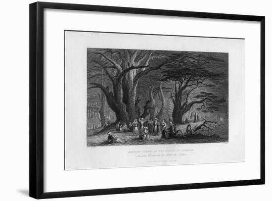 Ancient Cedars in the Forest of Lebanon, 1841-J Redaway-Framed Giclee Print