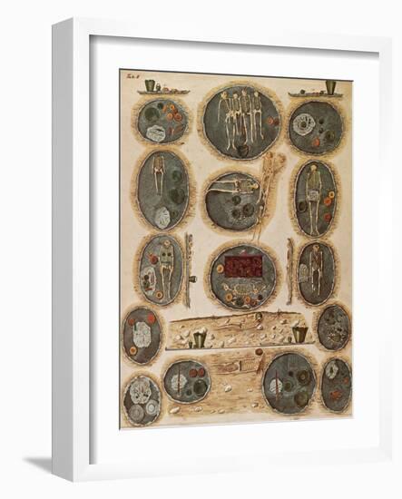 Ancient Celtic Cemetery, Hallstatt, Austria-Science Source-Framed Giclee Print