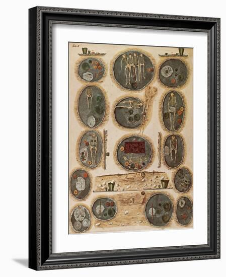 Ancient Celtic Cemetery, Hallstatt, Austria-Science Source-Framed Giclee Print