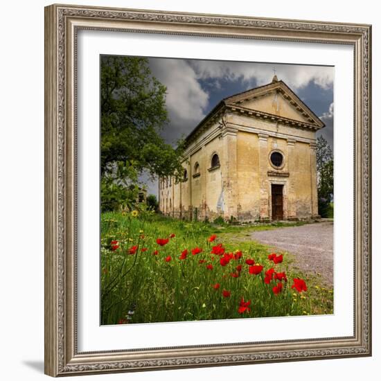 Ancient church ruin surrounded by bright reed poppies. Montalcino. Tuscany, Italy.-Tom Norring-Framed Photographic Print