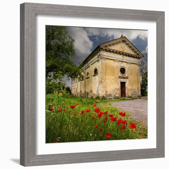 Ancient church ruin surrounded by bright reed poppies. Montalcino. Tuscany, Italy.-Tom Norring-Framed Photographic Print