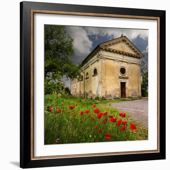 Ancient church ruin surrounded by bright reed poppies. Montalcino. Tuscany, Italy.-Tom Norring-Framed Photographic Print