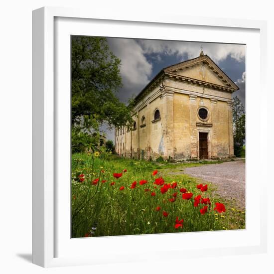 Ancient church ruin surrounded by bright reed poppies. Montalcino. Tuscany, Italy.-Tom Norring-Framed Photographic Print