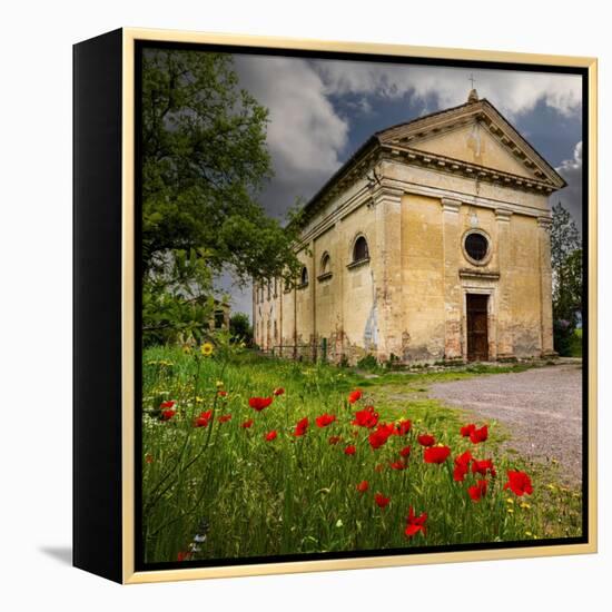 Ancient church ruin surrounded by bright reed poppies. Montalcino. Tuscany, Italy.-Tom Norring-Framed Premier Image Canvas