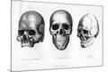 Premium Giclee Print