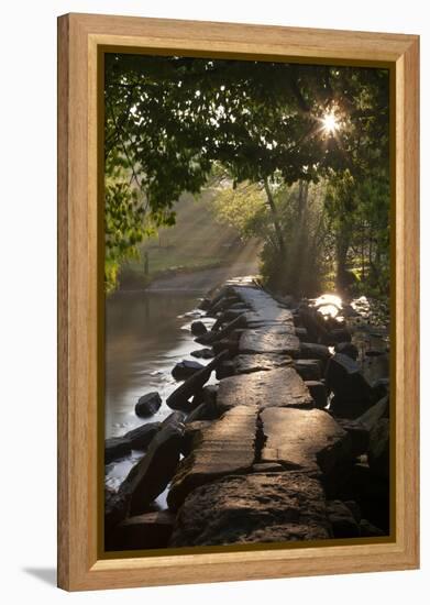 Ancient Clapper Bridge Tarr Steps Spanning the River Barle in Exmoor, Somerset, England-Adam Burton-Framed Premier Image Canvas