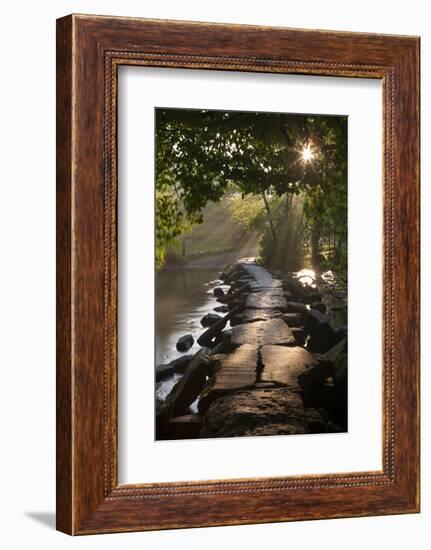 Ancient Clapper Bridge Tarr Steps Spanning the River Barle in Exmoor, Somerset, England-Adam Burton-Framed Photographic Print