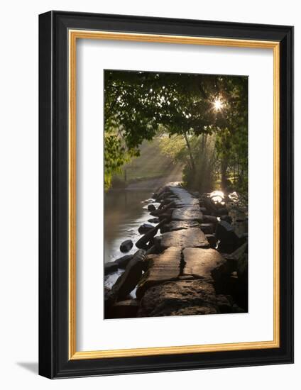 Ancient Clapper Bridge Tarr Steps Spanning the River Barle in Exmoor, Somerset, England-Adam Burton-Framed Photographic Print