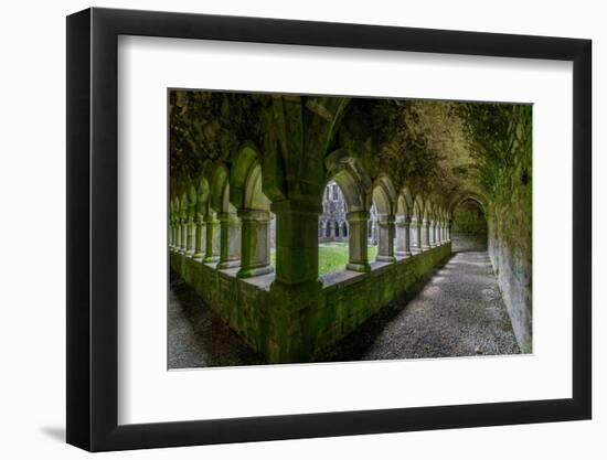 Ancient cloisters at Moyne Abbey, County Mayo, Ireland.-Betty Sederquist-Framed Photographic Print