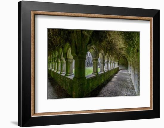 Ancient cloisters at Moyne Abbey, County Mayo, Ireland.-Betty Sederquist-Framed Photographic Print