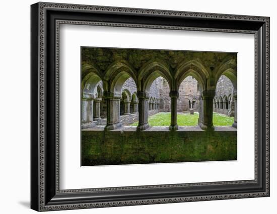 Ancient cloisters surround this patch of grass at Moyne Abbey, County Mayo, Ireland.-Betty Sederquist-Framed Photographic Print
