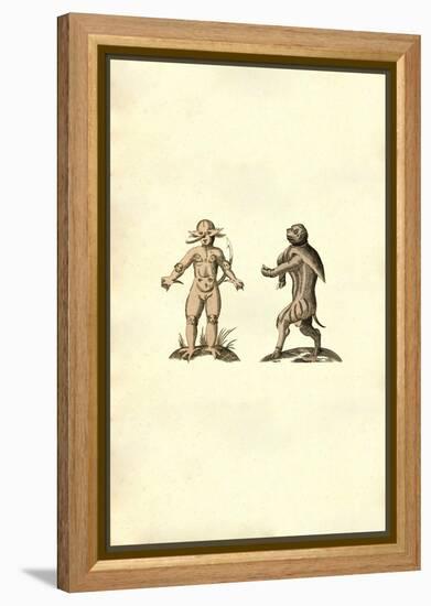 Ancient Creatures-Ulisse Aldrovandi-Framed Stretched Canvas