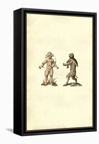 Ancient Creatures-Ulisse Aldrovandi-Framed Stretched Canvas