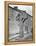 Ancient Cross, Kells, County Meath, 1870S-Robert French-Framed Premier Image Canvas