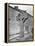 Ancient Cross, Kells, County Meath, 1870S-Robert French-Framed Premier Image Canvas