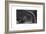 Ancient Crypt, Southwark, 1830-J Shury-Framed Giclee Print