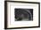 Ancient Crypt, Southwark, 1830-J Shury-Framed Giclee Print