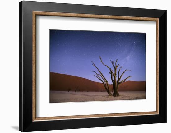 Ancient Dead Camelthorn Trees (Vachellia Erioloba) at Night with Red Dunes Behind-Wim van den Heever-Framed Photographic Print