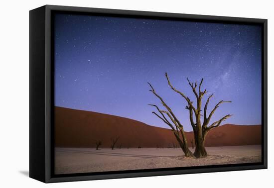 Ancient Dead Camelthorn Trees (Vachellia Erioloba) at Night with Red Dunes Behind-Wim van den Heever-Framed Premier Image Canvas