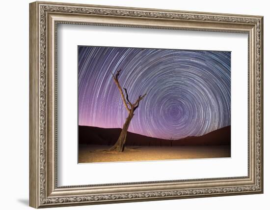 Ancient Dead Camelthorn Trees (Vachellia Erioloba) with Red Dunes-Wim van den Heever-Framed Photographic Print