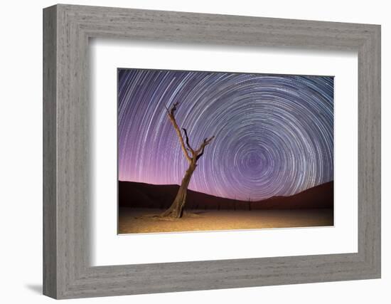Ancient Dead Camelthorn Trees (Vachellia Erioloba) with Red Dunes-Wim van den Heever-Framed Photographic Print