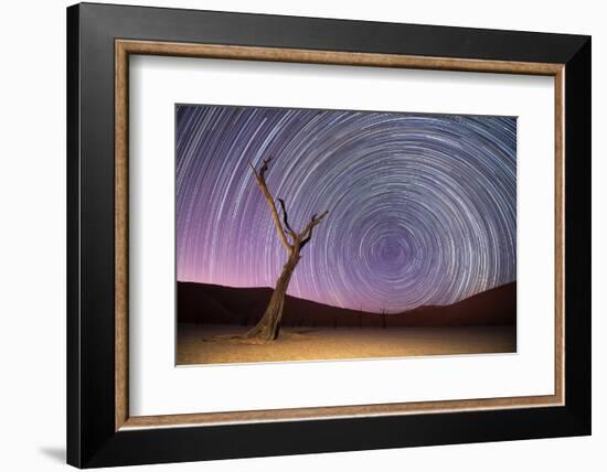 Ancient Dead Camelthorn Trees (Vachellia Erioloba) with Red Dunes-Wim van den Heever-Framed Photographic Print