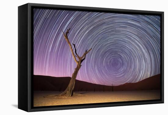 Ancient Dead Camelthorn Trees (Vachellia Erioloba) with Red Dunes-Wim van den Heever-Framed Premier Image Canvas