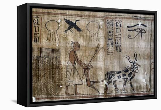 Ancient Egypt : Agriculture, Plowing and the Eye of Horus-null-Framed Premier Image Canvas