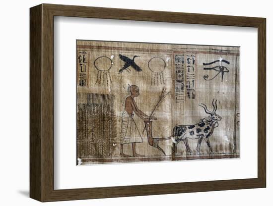 Ancient Egypt : Agriculture, Plowing and the Eye of Horus-null-Framed Photographic Print