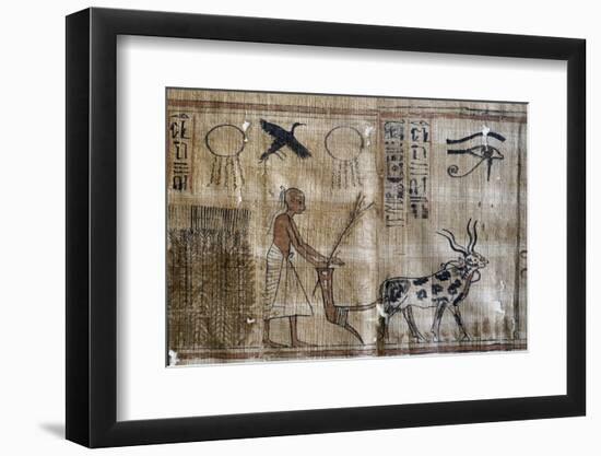 Ancient Egypt : Agriculture, Plowing and the Eye of Horus-null-Framed Photographic Print