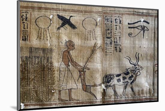 Ancient Egypt : Agriculture, Plowing and the Eye of Horus-null-Mounted Photographic Print