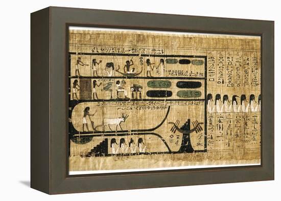 Ancient Egyptian Book of the Dead on Papyrus Showing Written Hieroglyphs-null-Framed Premier Image Canvas