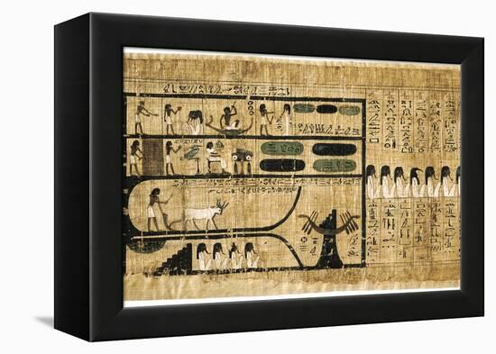 Ancient Egyptian Book of the Dead on Papyrus Showing Written Hieroglyphs-null-Framed Premier Image Canvas