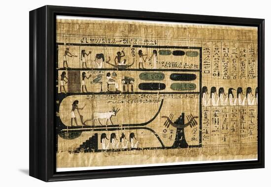 Ancient Egyptian Book of the Dead on Papyrus Showing Written Hieroglyphs-null-Framed Premier Image Canvas