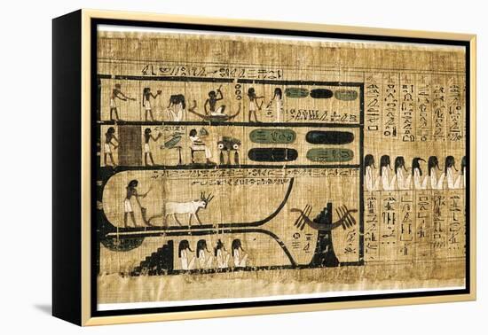 Ancient Egyptian Book of the Dead on Papyrus Showing Written Hieroglyphs-null-Framed Premier Image Canvas