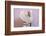 Ancient Greek Sphinx Sculpture-Chris Hellier-Framed Photographic Print