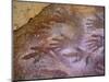 Ancient Hand and Rhea Print Paintings, Cave of the Hands, Santa Cruz Province, Patagonia, Argentina-Lin Alder-Mounted Photographic Print