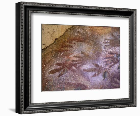 Ancient Hand and Rhea Print Paintings, Cave of the Hands, Santa Cruz Province, Patagonia, Argentina-Lin Alder-Framed Photographic Print