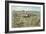 Ancient Jerusalem-null-Framed Premium Giclee Print