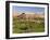 Ancient Kasbah Town of Ait Benhaddou, UNESCO World Heritage Site, Morocco-Gavin Hellier-Framed Photographic Print