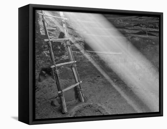 Ancient Kiva with Ladder, Cedar Mesa, Utah, USA-John Ford-Framed Premier Image Canvas