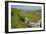 Ancient Limestone Fields-Bob Gibbons-Framed Photographic Print