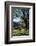 Ancient Mayan Temple, Palenque, Chiapas, Mexico-Rob Cousins-Framed Photographic Print