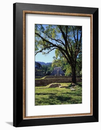 Ancient Mayan Temple, Palenque, Chiapas, Mexico-Rob Cousins-Framed Photographic Print