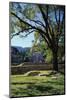 Ancient Mayan Temple, Palenque, Chiapas, Mexico-Rob Cousins-Mounted Photographic Print